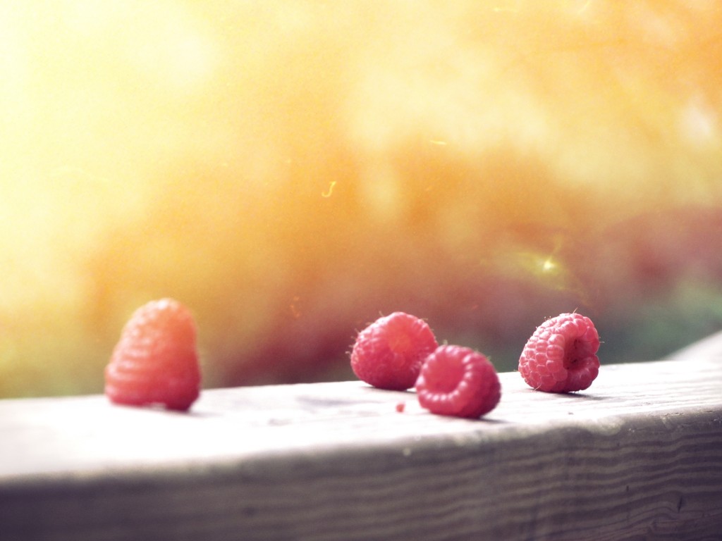 Raspberries in the setting sun