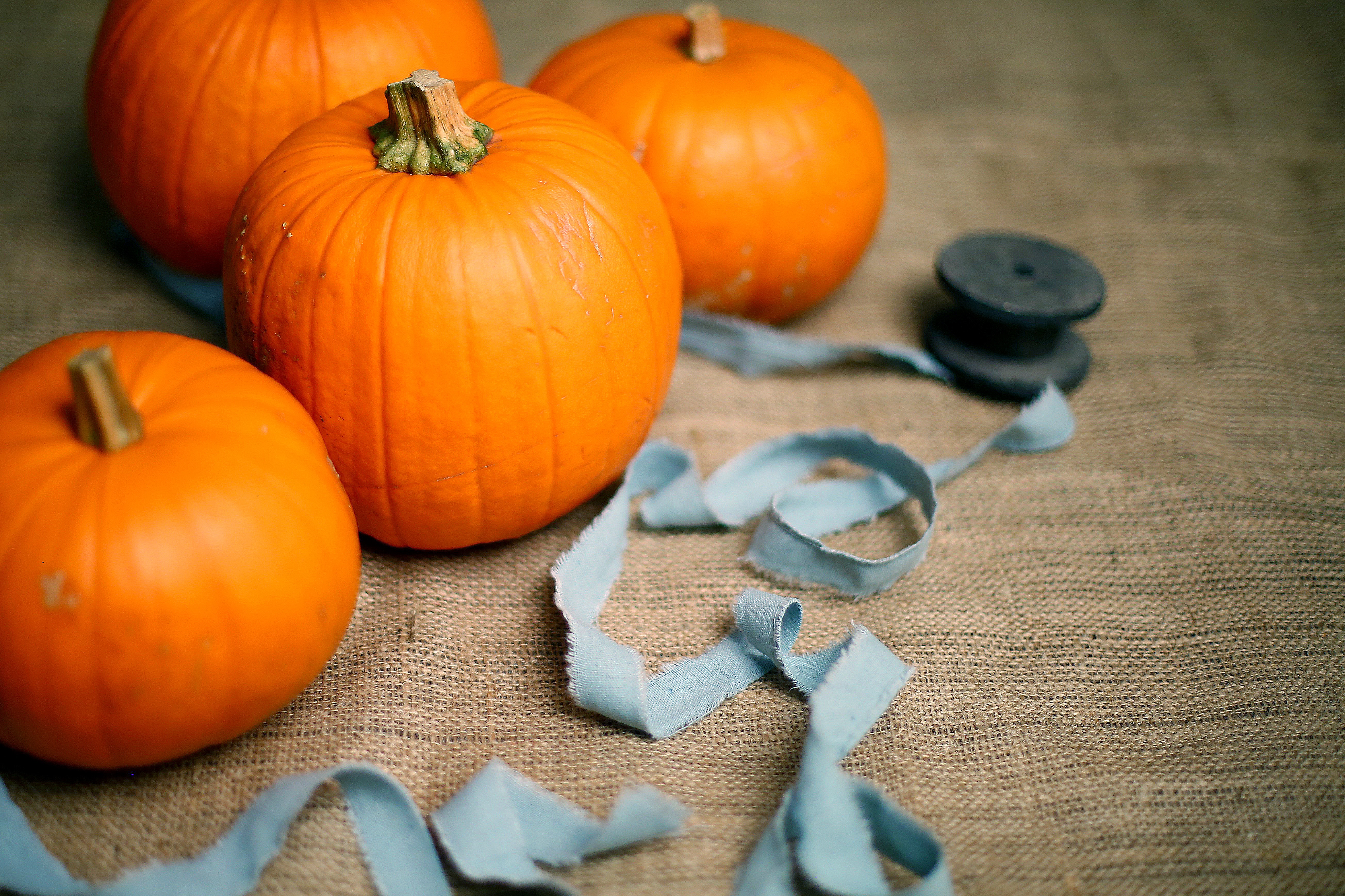 Best Halloween Office Party Food Games