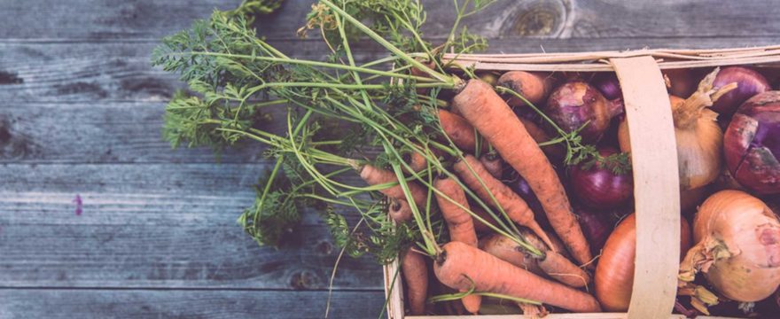 Is it better to buy local or organic?