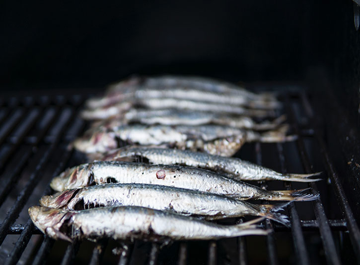 Fish lined up on a grill